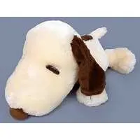 Plush - PEANUTS / Snoopy