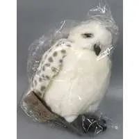 Plush - Harry Potter Series / Hedwig (Harry Potter)