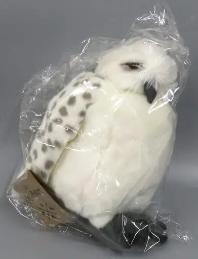 Plush - Harry Potter Series / Hedwig (Harry Potter)