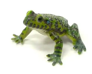 Trading Figure - Primary Color Amphibian Frog Encyclopedia