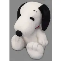 Plush - PEANUTS / Snoopy