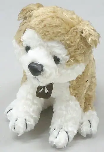 Plush - HACHI