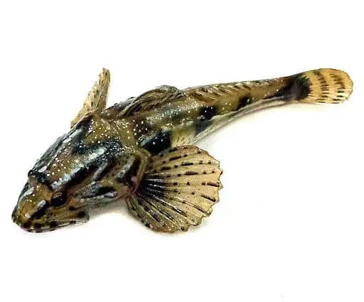 Trading Figure - Freshwater Fishes