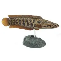 Trading Figure - Freshwater Fishes