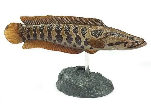 Trading Figure - Freshwater Fishes