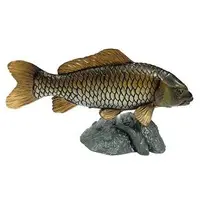 Trading Figure - Freshwater Fishes