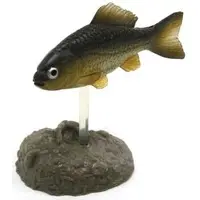 Trading Figure - Freshwater Fishes