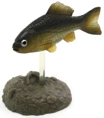 Trading Figure - Freshwater Fishes