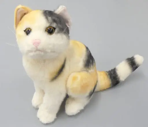 Plush - THE Real Cat