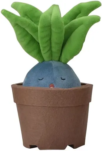 Plush - Pokémon / Oddish