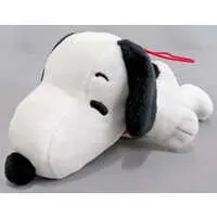 Plush - PEANUTS / Snoopy