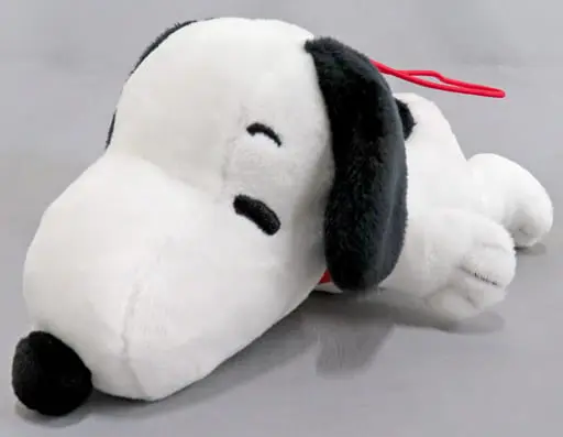 Plush - PEANUTS / Snoopy