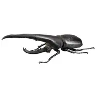 Trading Figure - Hercules Beetle