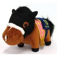 Plush - Thoroughbred collection