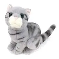 Plush - THE Real Cat