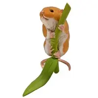 Trading Figure - Kaiyodo CapsuleQ Museum / Eurasian harvest mouse