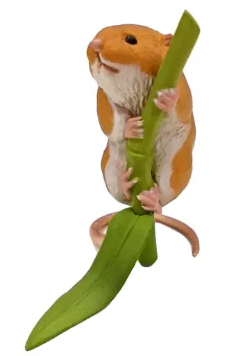 Trading Figure - Kaiyodo CapsuleQ Museum / Eurasian harvest mouse