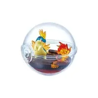 Terrarium Collection - Pokémon / Quilava