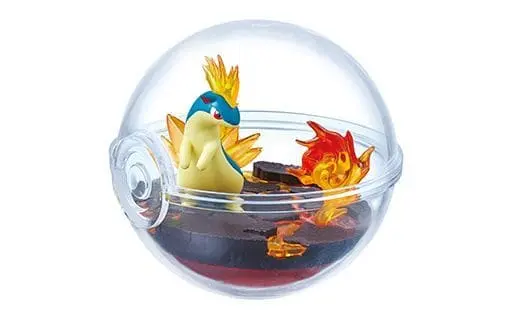 Terrarium Collection - Pokémon / Quilava