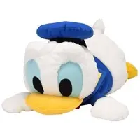 Plush - Disney / Donald Duck