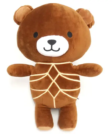 Plush - Bear