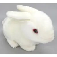 Plush - Rabbit