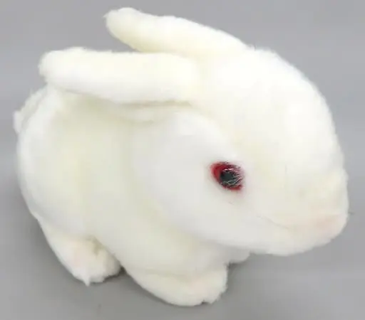 Plush - Rabbit