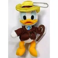 Plush - Disney / Donald Duck