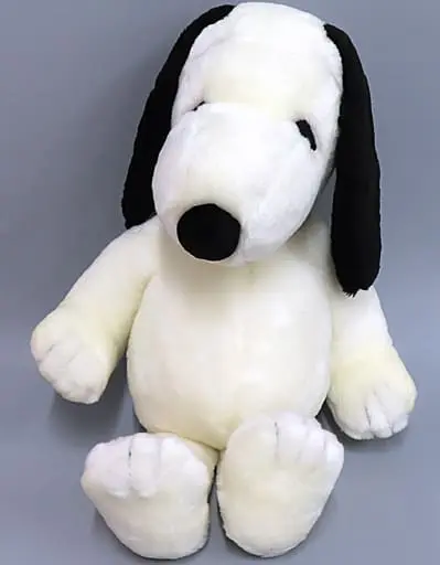 Plush - PEANUTS / Snoopy