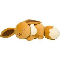 Plush - Pokémon / Eevee