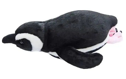 Plush - Sumida Aquarium / Magellanic penguin