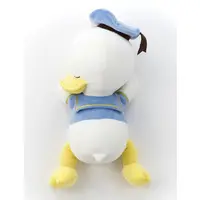 Plush - Disney / Donald Duck