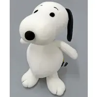 Plush - PEANUTS / Snoopy