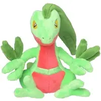 Pokemon fit - Pokémon / Grovyle (Juputoru)