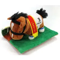 Plush - Thoroughbred collection