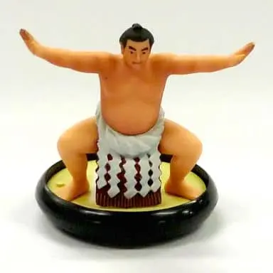 Trading Figure - TOKYO FIGURE MIYAGE