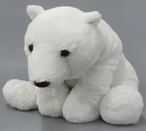 Plush - Polar bear
