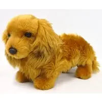 Plush - Dog