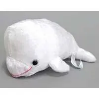 Plush - Beluga whale