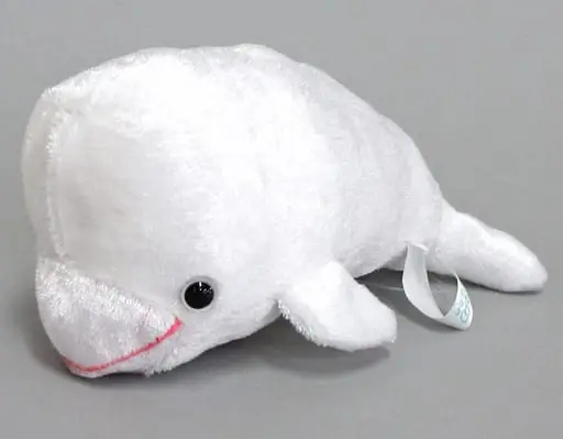 Plush - Beluga whale