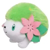 Plush - Pokémon / Shaymin