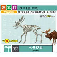 Trading Figure - Pose Skeleton