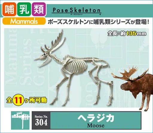 Trading Figure - Pose Skeleton