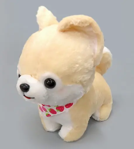 Plush - MAMESHIBA SANKYOUDAI