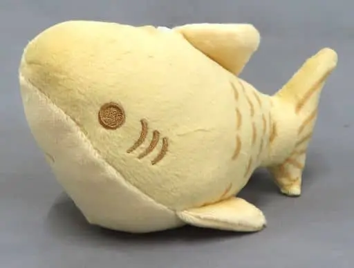 Plush - Leonardo shark collection