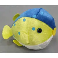 Plush - Boxfish