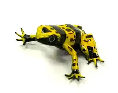 Trading Figure - Primary Color Amphibian Frog Encyclopedia