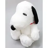 Plush - PEANUTS / Snoopy