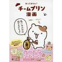 Japanese Book - Sanrio characters