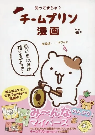 Japanese Book - Sanrio characters